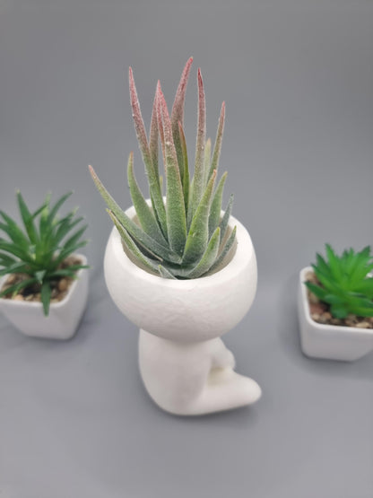Sitting Kodama Planter with Crossed Legs