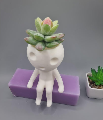 Kodama Sitting on a Ledge Planter