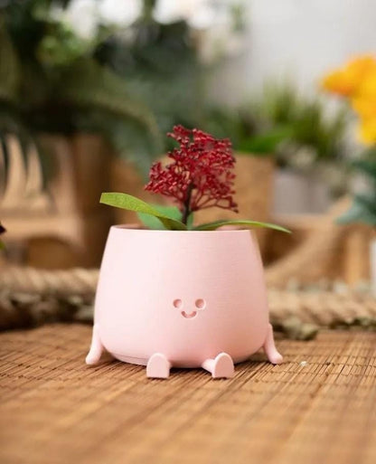 Cute Happy Face Pot Planter