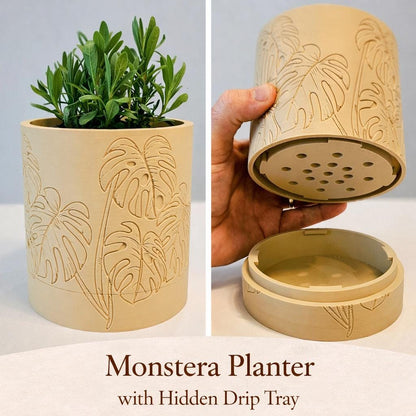 Monstera Leaf Planter