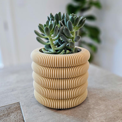 Coins Planter