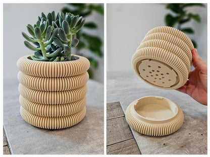Coins Planter