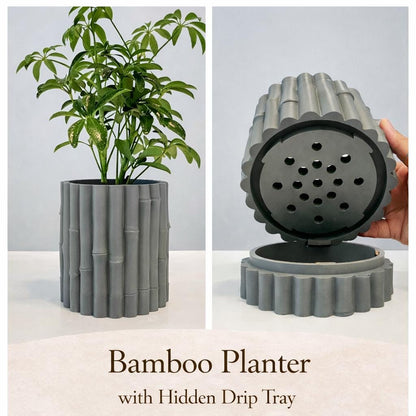Bamboo Planter