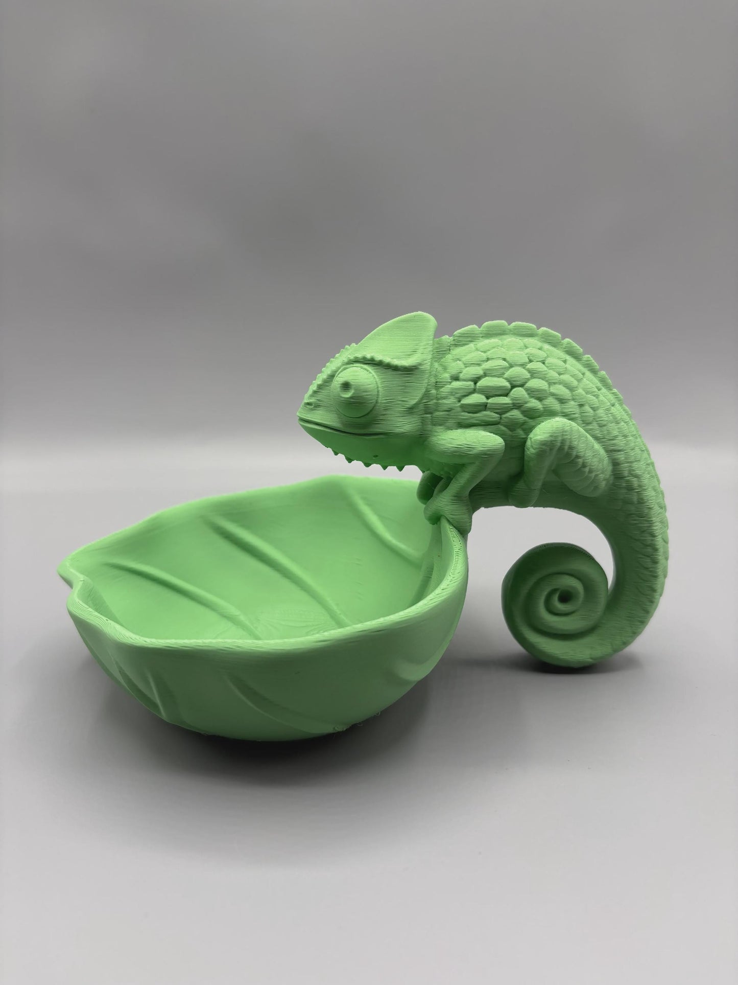 Chameleon Catchall Bowl | Pascal Inspired Key Holder Tray | Tangled Decor | Desk Organizer | 3D Printed Gift | Choose Your Colour
