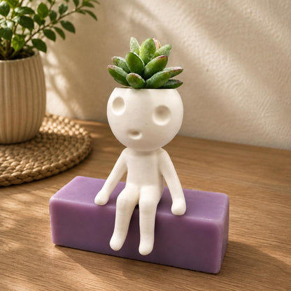 Kodama Sitting on a Ledge Planter