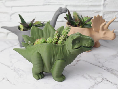 Dinosaur Plant Pot Set