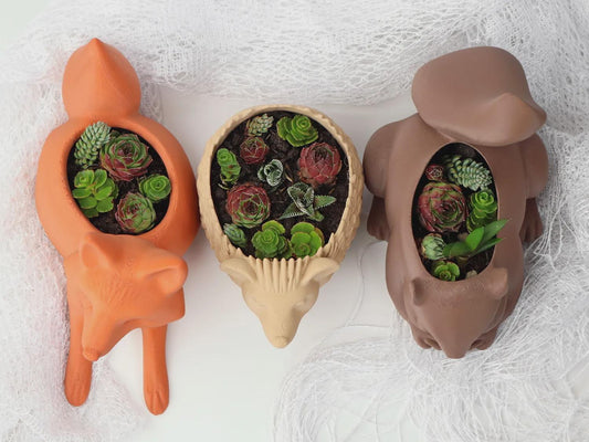 Animal Planter Set | Fox, Hedgehog & Squirrel Plant Pots | 3D Printed Succulent Planters | Woodland Animal Decor | Choose One or Set