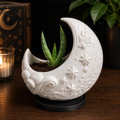 Crescent Moon Planter with Drip Tray