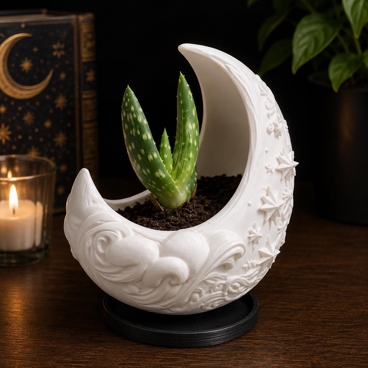 Crescent Moon Planter with Drip Tray | Celestial Plant Pot | Gothic Witchy Decor | Succulent Planter | Choose Your Colour