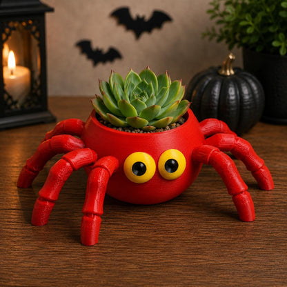 Cute Spider Plant Pot